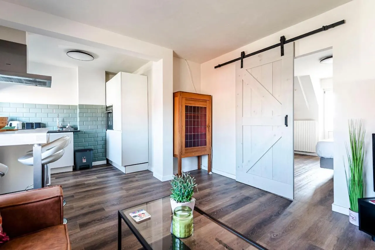 Albatros Aan Zee - Apartment Zandvoort