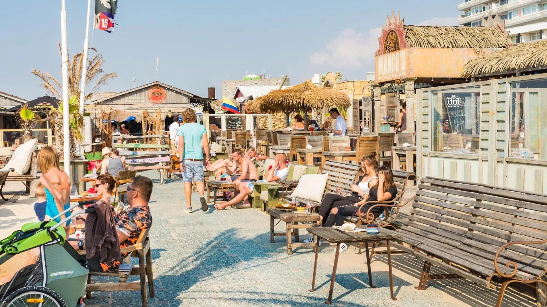 Albatros Aan Zee - Apartment Zandvoort Paesi Bassi
